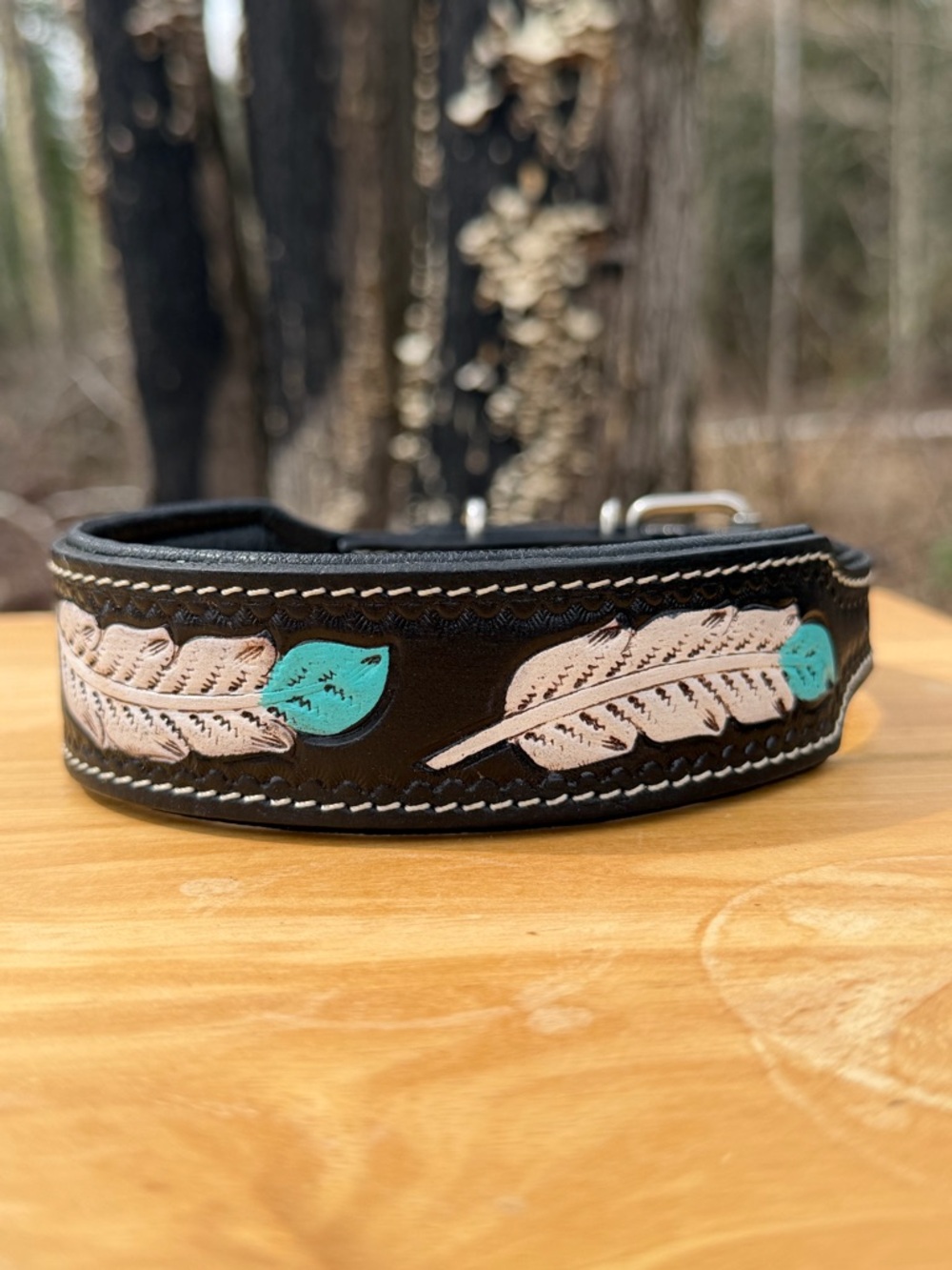 Tooled Leather Feather Dog Collar in Black with Turquoise Accents